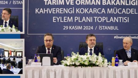 Kahverengi Kokarca Mücadelesi Eylem Planı Toplantısı İstanbul’da Gerçekleştirildi
