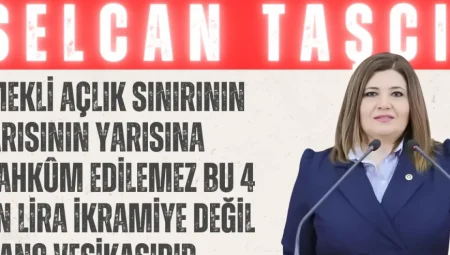 İYİ Partili Selcan Taşcı: “Emekli açlık sınırının yarısının yarısına mahkûm edilemez, bu 4 bin lira ikramiye değil, utanç vesikasıdır”