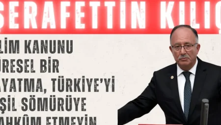 Saadet Partili Kılıç: ‘İklim Kanunu küresel bir dayatma, Türkiye’yi yeşil sömürüye mahkûm etmeyin’