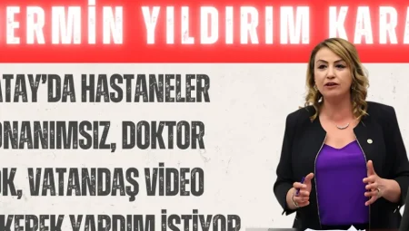 CHP’li Nermin Yıldırım Kara: ‘Hatay’da hastaneler donanımsız, doktor yok, vatandaş video çekerek yardım istiyor’