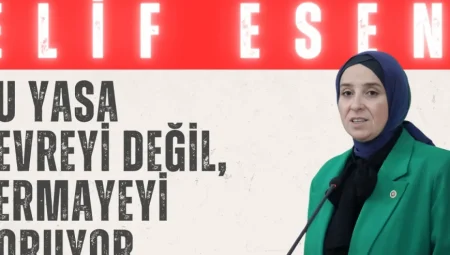 DEVA Partili Esen’den İklim Kanunu’na sert eleştiri: “Bu yasa çevreyi değil, sermayeyi koruyor”
