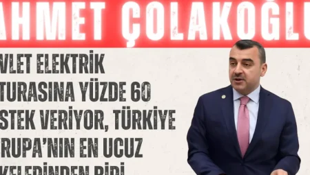 AK Parti’li Çolakoğlu: “Devlet elektrik faturasına yüzde 60 destek veriyor, Türkiye Avrupa’nın en ucuz ülkelerinden biri”