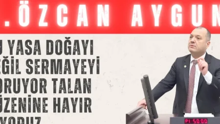 CHP’li Aygun’dan İklim Kanunu tepkisi: “Bu yasa doğayı değil, sermayeyi koruyor; talan düzenine ‘hayır’ diyoruz”