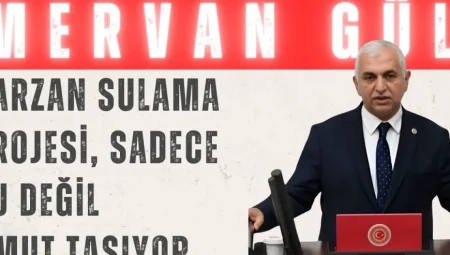 AK Parti’li Mervan Gül: ‘Garzan Sulama Projesi, sadece su değil umut taşıyor’