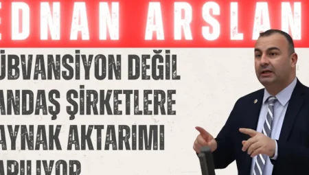 CHP’li Ednan Arslan’dan elektrik zammı tepkisi: “Sübvansiyon değil, yandaş şirketlere kaynak aktarımı yapılıyor”