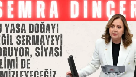 CHP’li Dinçer’den İklim Kanunu tepkisi: “Bu yasa doğayı değil sermayeyi koruyor, siyasi iklimi de temizleyeceğiz”