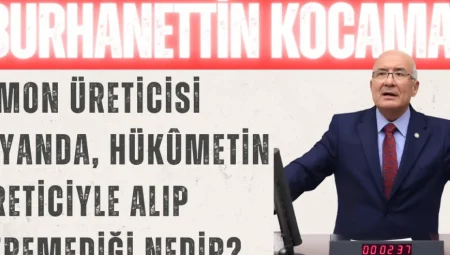 İYİ Partili Kocamaz: ‘Limon üreticisi isyanda, Hükûmetin üreticiyle alıp veremediği nedir?’