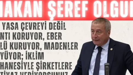İYİ Partili Olgun: “Bu yasa çevreyi değil rantı koruyor, Eber Gölü kuruyor, madenler büyüyor; iklim bahanesiyle şirketlere imtiyaz veriyorsunuz”