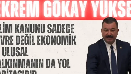 MHP’li Yüksel: ‘İklim Kanunu sadece çevre değil, ekonomik ve ulusal kalkınmanın da yol haritasıdır’