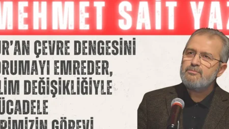 AK Parti’li Yaz: ‘Kur’an çevre dengesini korumayı emreder, iklim değişikliğiyle mücadele hepimizin görevi’