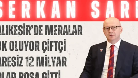 CHP’li Sarı: ‘Balıkesir’de meralar yok oluyor, çiftçi çaresiz, 12 milyar dolar boşa gitti’