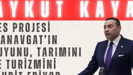 CHP’li Aykut Kaya: ‘GES projesi Manavgat’ın suyunu, tarımını ve turizmini tehdit ediyor’