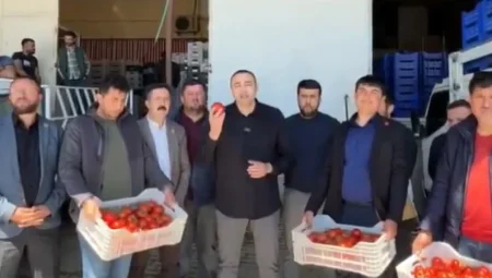 CHP’li Aykut Kaya: ‘Domates üreticisi maliyetin altında satıyor, pazarda 50 liraya alıcı buluyor! Tarım Bakanlığı nerede?’