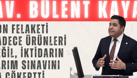 Bülent Kaya: ‘Don felaketi sadece ürünleri değil, iktidarın tarım sınavını da çökertti’