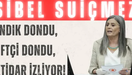 Sibel Suiçmez: ‘Fındık dondu, çiftçi dondu, iktidar izliyor!’