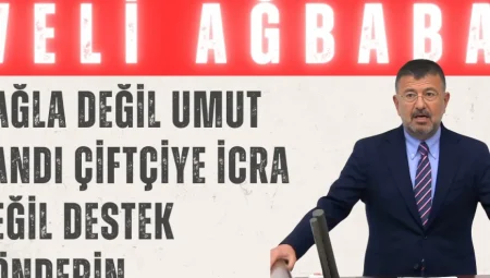 Veli Ağbaba: “Çağla değil, umut yandı; çiftçiye icra değil, destek gönderin”
