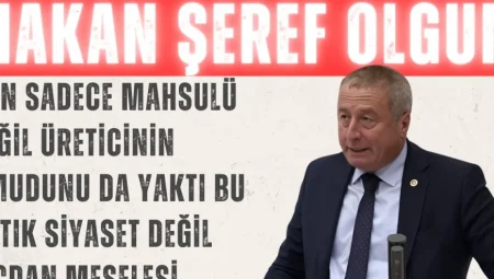 Hakan Şeref Olgun: “Don sadece mahsulü değil, üreticinin umudunu da yaktı; bu artık siyaset değil vicdan meselesi”