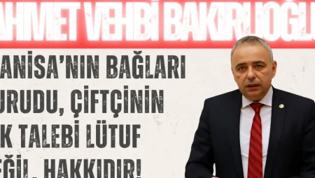 Ahmet Vehbi Bakırlıoğlu: “Manisa’nın bağları kurudu, çiftçinin tek talebi lütuf değil, hakkıdır!”