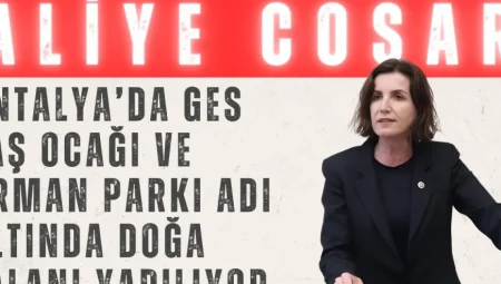 Aliye Coşar: “Antalya’da GES, taş ocağı ve orman parkı adı altında doğa talanı yapılıyor”