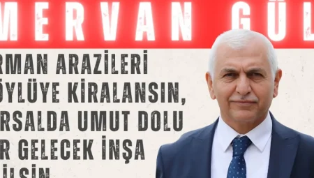Mervan Gül: “Orman arazileri köylüye kiralansın, kırsalda umut dolu bir gelecek inşa edilsin”
