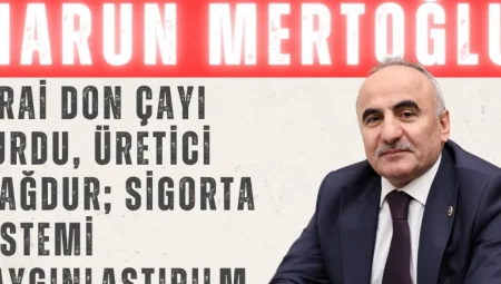 Harun Mertoğlu: ‘Zirai don çayı vurdu, üretici mağdur; sigorta sistemi yaygınlaştırılmalı’