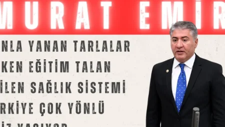 Murat Emir: ‘Donla yanan tarlalar, çöken eğitim, talan edilen sağlık sistemi; Türkiye çok yönlü kriz yaşıyor’