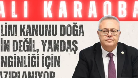 Ali Karaoba: “İklim kanunu doğa için değil, yandaş zenginliği için hazırlanıyor”