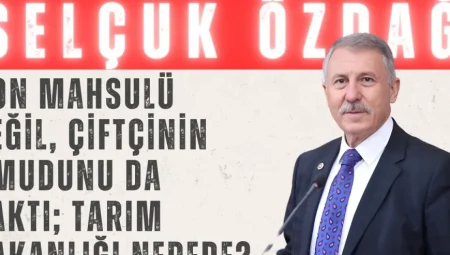 Selçuk Özdağ: ‘Don mahsulü değil, çiftçinin umudunu da yaktı; Tarım Bakanlığı nerede?’