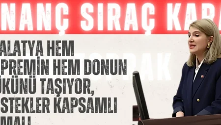İnanç Sıraç Kara Ölmeztoprak: ‘Malatya hem depremin hem donun yükünü taşıyor, destekler kapsamlı olmalı’