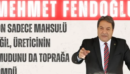 Mehmet Fendoğlu: “Don sadece mahsulü değil, üreticinin umudunu da toprağa gömdü”