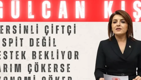 Gülcan Kış: ‘Mersinli çiftçi tespit değil, destek bekliyor; tarım çökerse ekonomi çöker’