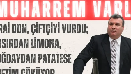Muharrem Varlı: “Zirai don, çiftçiyi vurdu; mısırdan limona, buğdaydan patatese üretim çöküyor”