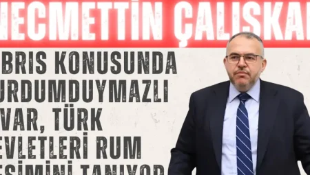Necmettin Çalışkan: ‘Kıbrıs konusunda vurdumduymazlık var, Türk devletleri Rum kesimini tanıyor’