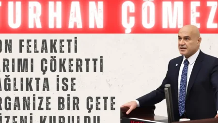 Turhan Çömez: ‘Don felaketi tarımı çökertti, sağlıkta ise organize bir çete düzeni kuruldu’