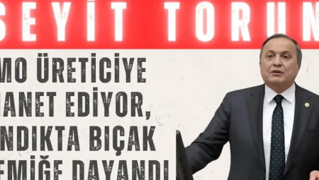 CHP’li Seyit Torun: ‘TMO üreticiye ihanet ediyor, fındıkta bıçak kemiğe dayandı’