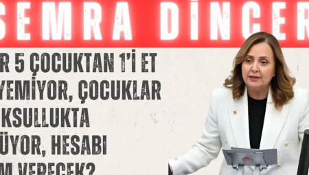 CHP’li Semra Dinçer: ‘Her 5 çocuktan 1’i et yiyemiyor, çocuklar yoksullukta ölüyor, hesabı kim verecek?’