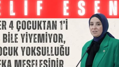 DEVA Partili Elif Esen: ‘Her 4 çocuktan 1’i et bile yiyemiyor, çocuk yoksulluğu beka meselesidir’