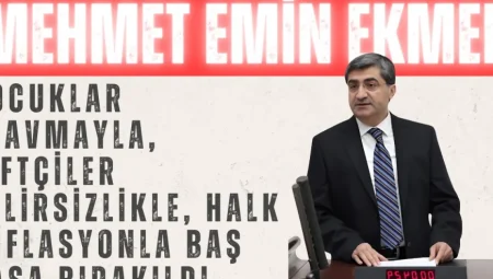 DEVA Partili Mehmet Emin Ekmen: ‘Çocuklar travmayla, çiftçiler belirsizlikle, halk enflasyonla baş başa bırakıldı’