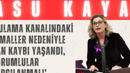 CHPli Asu Kaya: ‘Sulama Kanalındaki İhmaller Nedeniyle Can Kaybı Yaşandı, Sorumlular Yargılanmalı’