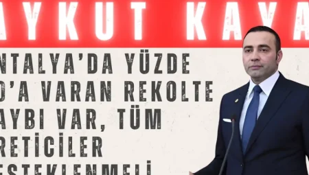 Aykut Kaya’dan Don Felaketi Çağrısı: ‘Antalya’da Yüzde 90’a Varan Rekolte Kaybı Var, Tüm Üreticiler Desteklenmeli’