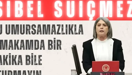 Sibel Suiçmez TBMM’de Şehit Mehmetçik İçin Konuştu: ‘Bu Umursamazlıkla O Makamda Bir Dakika Bile Oturmayın’