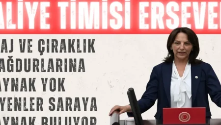 Aliye Timisi Ersever: ‘Staj ve Çıraklık Mağdurlarına Kaynak Yok Diyenler Saraya Kaynak Buluyor’