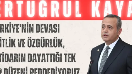 Ertuğrul Kaya: ‘Türkiye’nin Devası Eşitlik ve Özgürlük, İktidarın Dayattığı Tek Tip Düzeni Reddediyoruz’